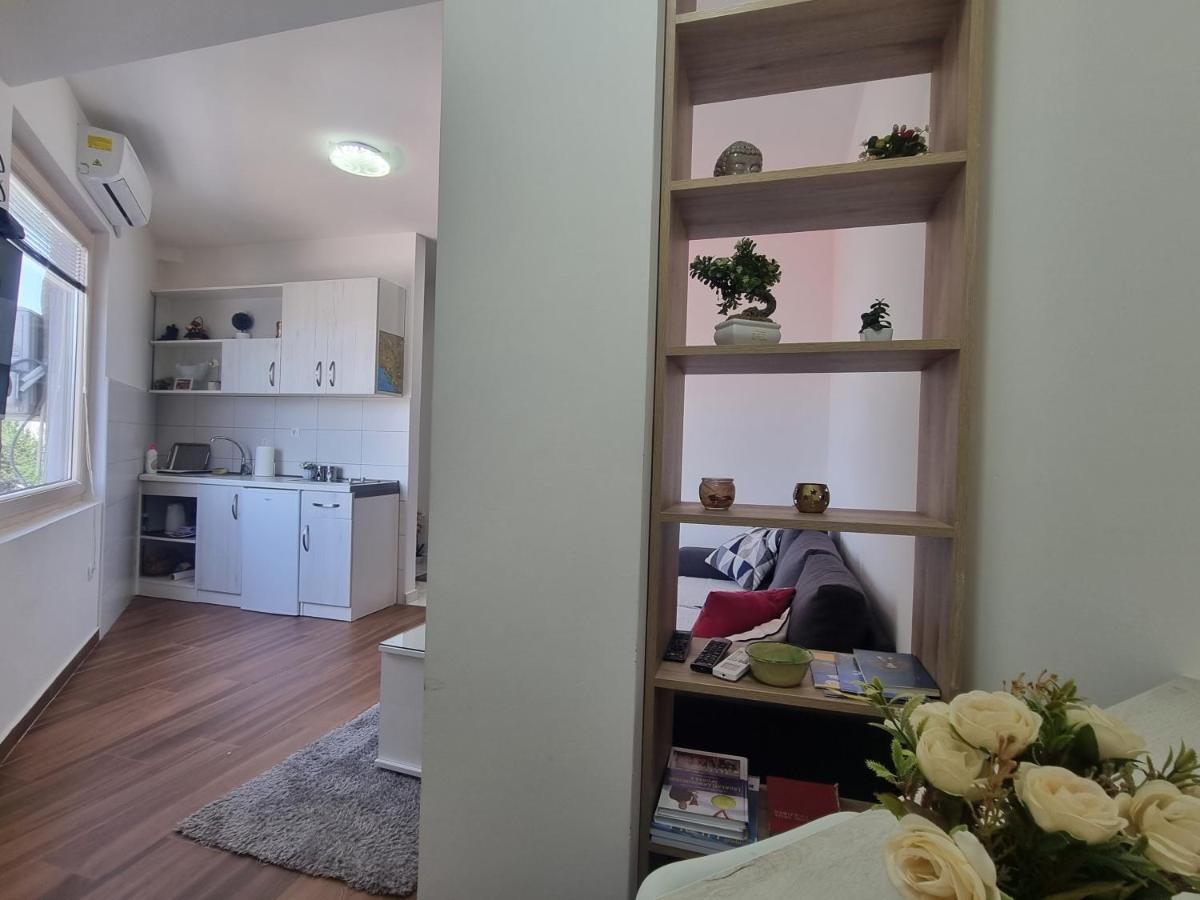 Victory Apartment Nikšić Bagian luar foto